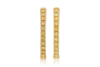 18K Yellow Gold Fancy Yellow Diamond Hoops Tw. 2.05 carat
